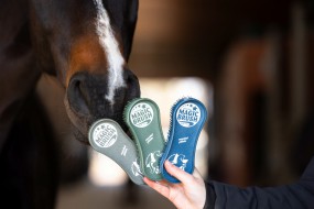 Magic Brush Bürstenset Classic 3-er Set