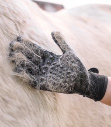 Putz- und Pflegehandschuh