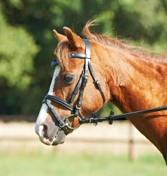 Trense MINI-SHETTY II